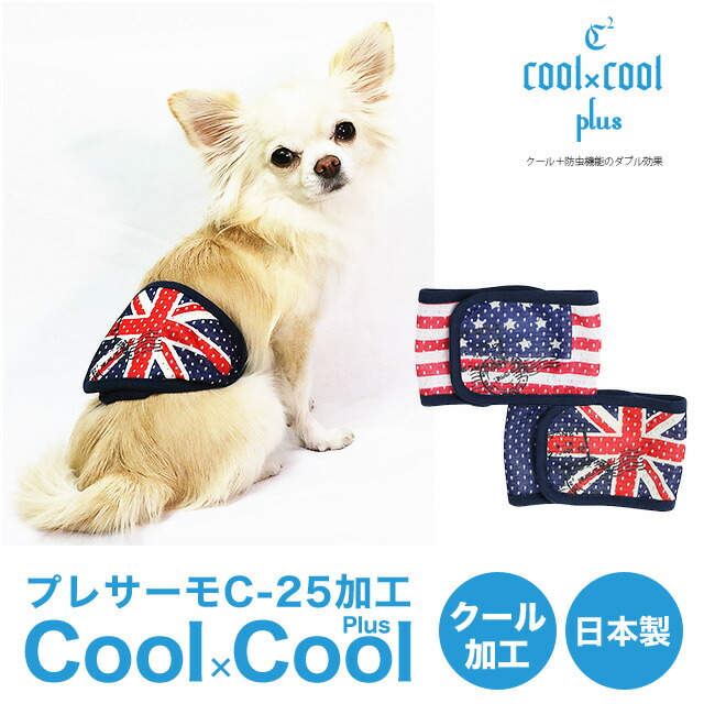 【在庫限り】クール×クールプラスマナーバンド ユニオン&スター 7149 【在庫限り】クール×クールプラスマナーバンド ユニオン&スター 7149