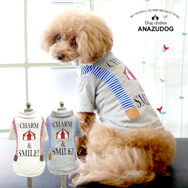 楽天市場 サーカスプリントサスペンダーtシャツ ドッグウエア 犬服 小型犬 犬用 ペット用品 Anzudog あんずドッグ