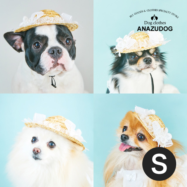 楽天市場 Luludoll そよ風の麦わら帽 S ドッグウェア 犬服 ペット用品 Anzudog あんずドッグ