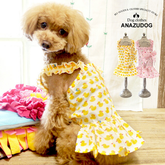楽天市場 ヒヨコ イチゴ総柄キャミワンピース ドッグウエア 小型犬 あんずドッグ 犬服 かわいい ペット 春夏 秋冬 Anzudog あんずドッグ