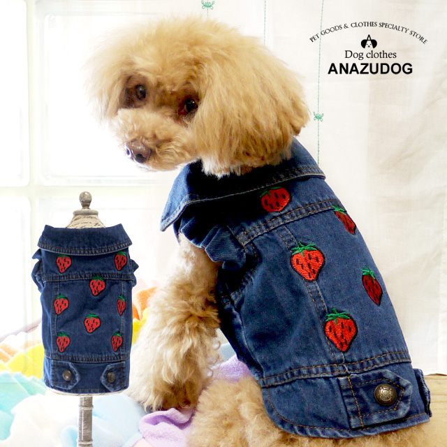 楽天市場 いちご刺繍デニムジャケット ドッグウエア 小型犬 犬服 Anzudog あんずドッグ