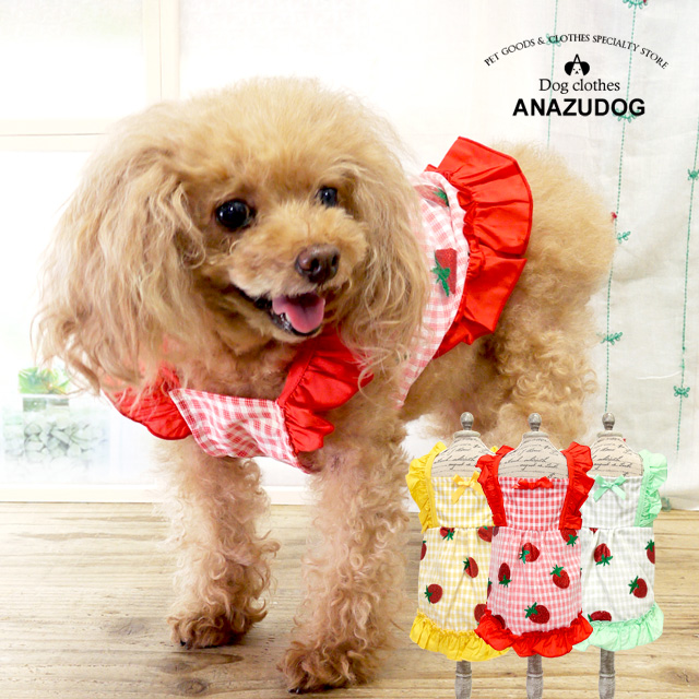 楽天市場】＼3月4日20時より販売開始／ 犬服 イチゴ服（超小型犬・小型