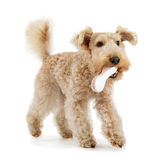 デンタルトイソフトスプーンダッドウェイS犬用おもちゃドッグトイデンタルケアペット用品