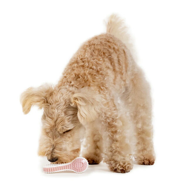 デンタルトイソフトスプーンダッドウェイS犬用おもちゃドッグトイデンタルケアペット用品