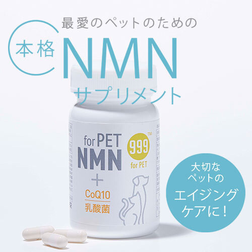 999 for PET NMN 60粒 犬用 猫用 ドッグフード 加えることNMN コエンザイムQ-10 マルチ乳酸菌 サプリメント-ドッグフード・サプリメント-犬用品