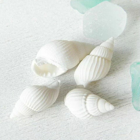 楽天市場 白い巻貝の貝殻 10g アクセサリーパーツ Kai 001 Green Rose ネットショップ Yumi 楽天市場 白い巻貝の貝殻 10g アクセサリーパーツ Kai 001 Green Rose ネットショップ Yumi