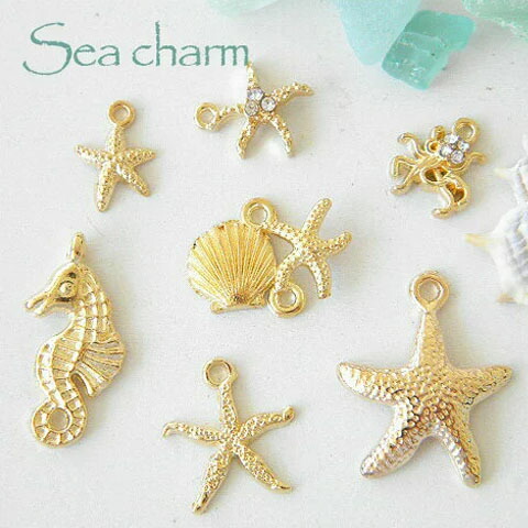 楽天市場】二枚貝 チャーム 10個 貝 シェル 生き物 夏 海 アクセサリー