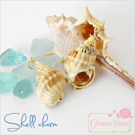 楽天市場 宅配便 一部再入荷 海からの贈り物 天然の貝殻チャーム 巻貝 二枚貝 全18種 1個 マリンモチーフ 貝 海 チャーム Sch 06 23 Green Rose ネットショップ Yumi 楽天市場 宅配便 一部再入荷 海からの贈り物 天然の貝殻チャーム 巻貝 二枚貝 全18種 1個 マリンモチーフ 貝 海 チャーム Sch 06 23 Green Rose ネットショップ Yumi
