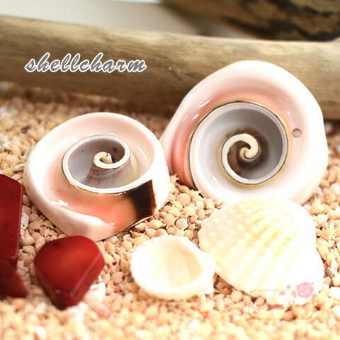 楽天市場】巻貝 貝殻 青緑 白 ブルーグリーン系 ホワイト系 海 マリン