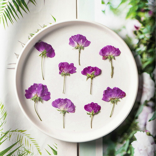 楽天市場】押し花 ミニバラ 茎 ビオラ ドライフラワー レジン 封入