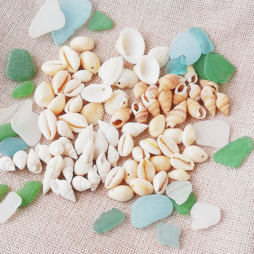 【セール】Tiny summer days セット 二枚貝ほたて Amazon | Tiny summer days －タイニーサマーデイズ－／二枚貝