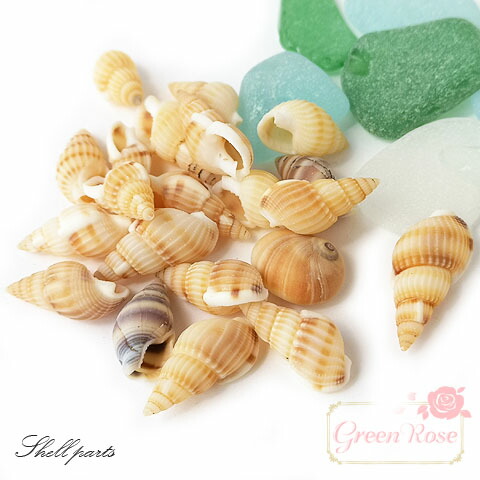 琉球*海のたね　白い巻貝　白い貝殻　C-1  【Bセット】 楽天市場】白い巻貝 貝殻 夏 マリン 海 サマー 夏休み 10g Kai-001