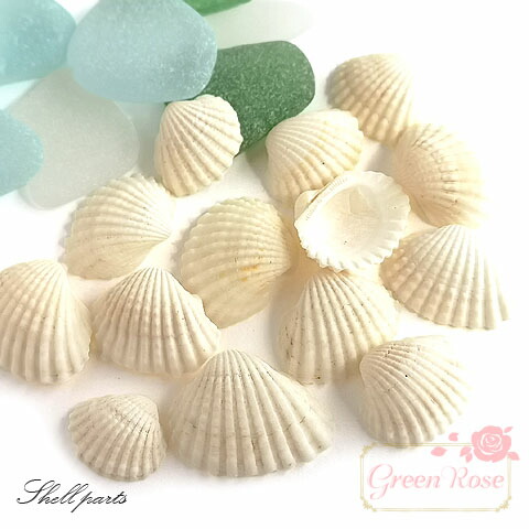 楽天市場】白い巻貝 貝殻 夏 マリン 海 サマー 夏休み 10g Kai-001