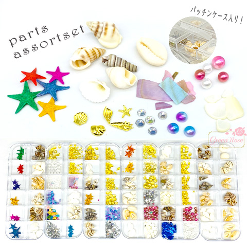 楽天市場】二枚貝 貝殻 ピンク 夏 マリン 海 サマー 夏休み 6set