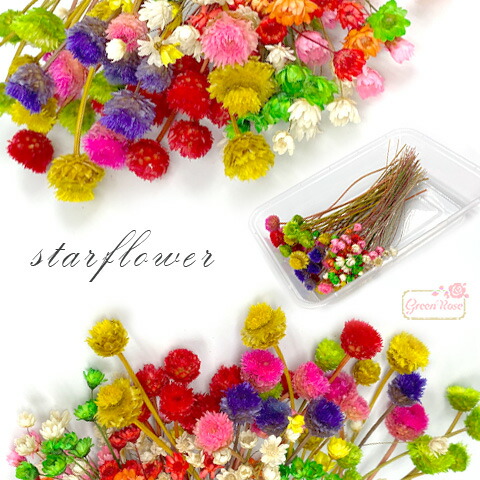 楽天市場】瓶入り ドライフラワー アソート クリスマス ミックス