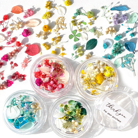 ちぁ〜ん様◆【ドライフラワー】小花つぼみ mix（673 レジン パーツ ） ちぁ〜ん様◇【ドライフラワー】小花つぼみ mix（673 レジン パーツ ）