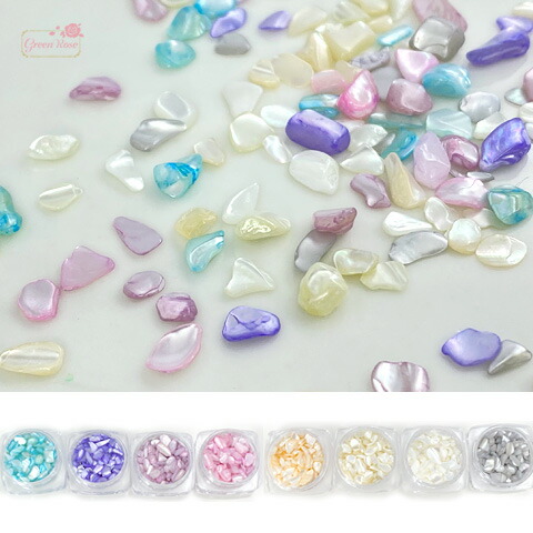 楽天市場】巻貝の貝殻 夏 マリン 海 サマー 夏休み 10g Kai-002