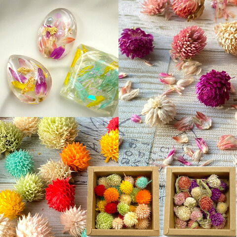 ドライフラワー 楽天市場】瓶入り ドライフラワー アソート クリスマス ミックス