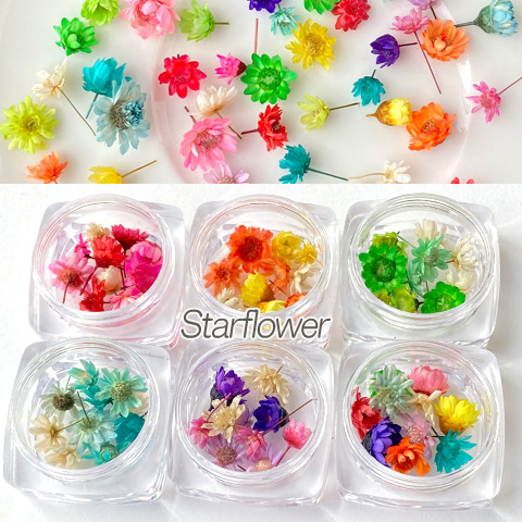 LEXUS ハーバリウム ドライフラワー入り LEXUS ハーバリウム ドライフラワー入り 楽天市場】ドライ