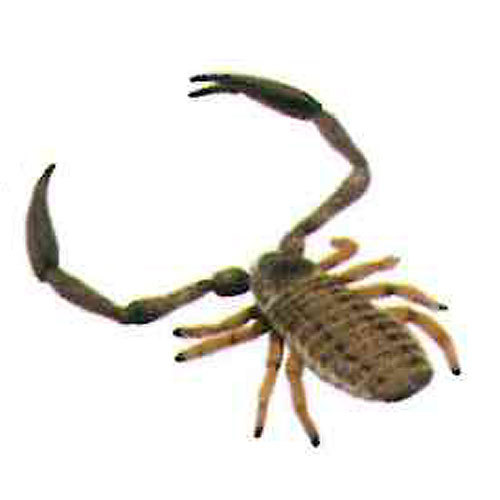 楽天市場 カプセルqミュージアム 日本の動物コレクション3 東京 巨大都市と離島 11 テナガカニムシ 雌 海洋堂 ガチャポン 遊you 楽天市場店