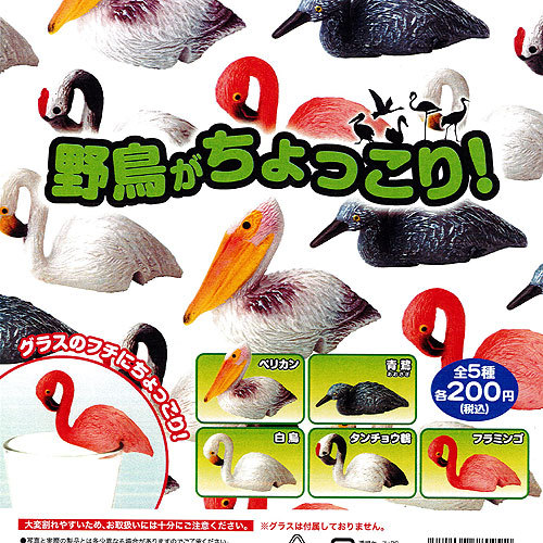 ゴリマッチョ 全5種セット(フルコンプ) Yahoo!オークション - 即決》GORIMACHO ゴリマッチョ【全5種