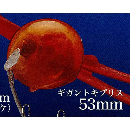 棘皮動物の裸殼 マグネット＆ボールチェーン　１１種（全種）ウニ殻　未開封 Amazon.co.jp: ネイチャーテクニカラー 棘皮動物の裸殼