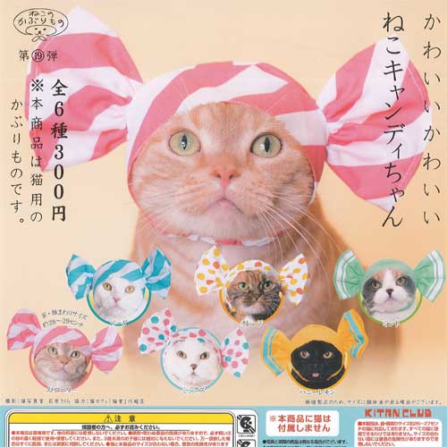 楽天市場 かわいいかわいい ねこキャンディちゃん 全6種セット ねこのかぶりもの第19弾 奇譚クラブ ガチャポン ガチャガチャ ガシャポン 遊you 楽天市場店