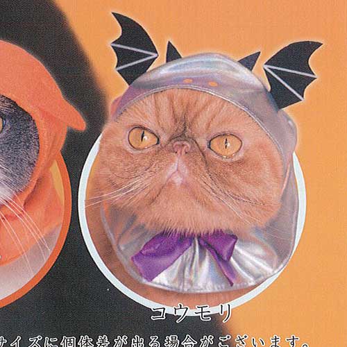 楽天市場】かわいい かわいい ねこハロウィンちゃん パーティーカラー
