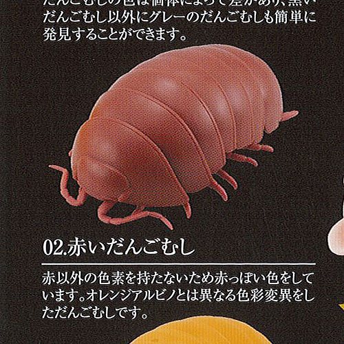 楽天市場】だんごむし06だんごむしととらふからっぱより4種