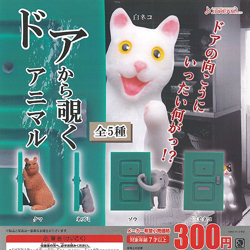 g190520s02t.jpg