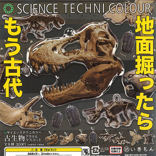ネイチャーテクニカラー　古生物　台座シリーズ　ガチャガチャ　骨格　恐竜 ネイチャーテクニカラー 古生物 [4.ティラノサウルス 骨格標本色