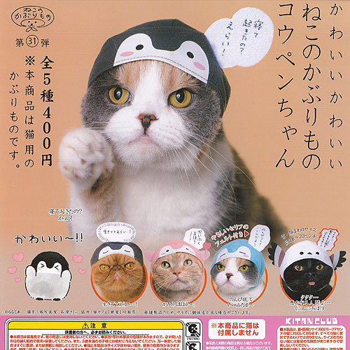 セット商品　ねこ 619FeqsWDVL._UF350,350_QL80_.jpg