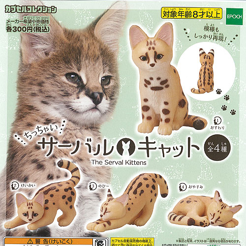 楽天市場 ちっちゃい サーバル キャット 全4種セット エポック社 動物 フィギュア ガチャポン ガチャガチャ ガシャポン 遊you 楽天市場店
