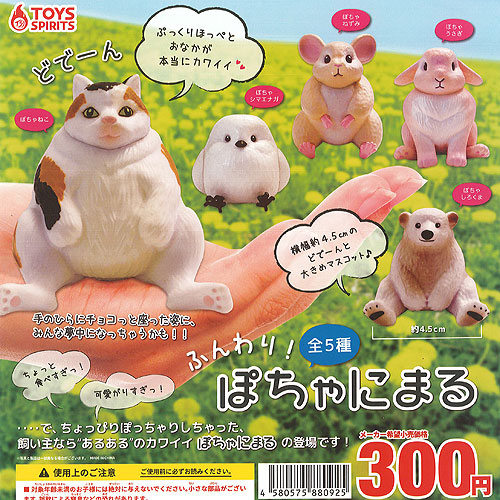 楽天市場 ふんわり ぽちゃにまる 全5種 ディスプレイ台紙セット トイズスピリッツ 動物 フィギュア ガチャポン ガチャガチャ ガシャポン 遊you 楽天市場店