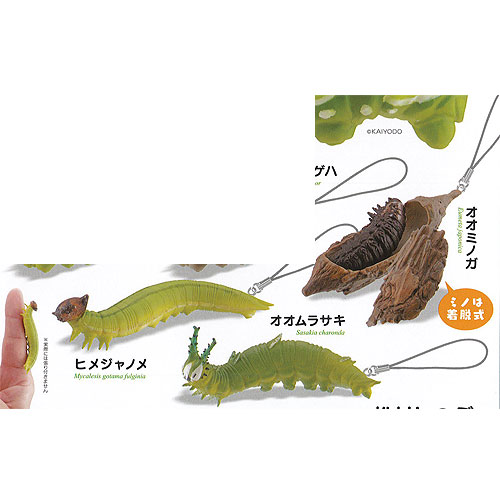 楽天市場】カプセルQ ミュージアム 有毒 危険 動物 大全 2 全5種