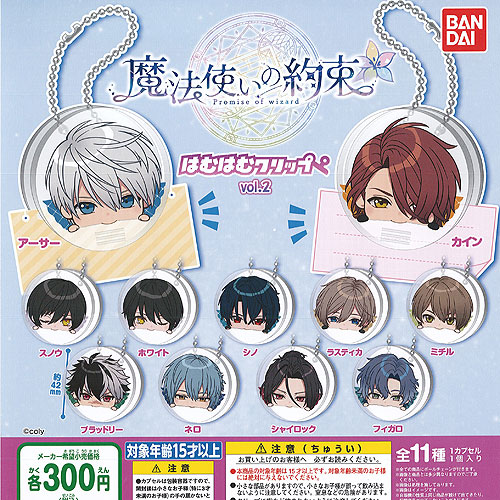 【新品】魔法使いの約束 わちゃねむちゃーむ 全コンプリー21種 77個セット 魔法使いの約束 わちゃねむちゃーむ～中央の国・東の国・西の国