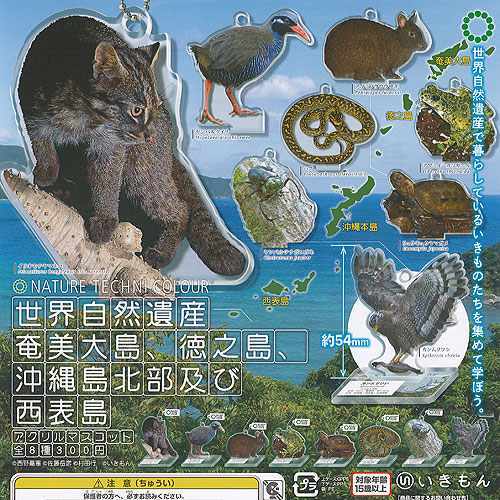 楽天市場】【送料無料】ネイチャーテクニカラー 鳥羽水族館立体