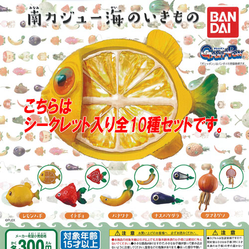 楽天市場 Tama Kyu 前髪への束縛 へらぴん 2 全8種セット ブシロード ガチャポン ガチャガチャ ガシャポン 遊you 楽天市場店