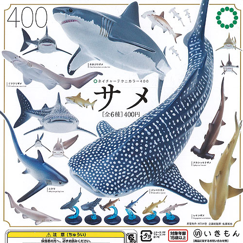 楽天市場】本物天然珊瑚コレクション レインボー 【人気の2種