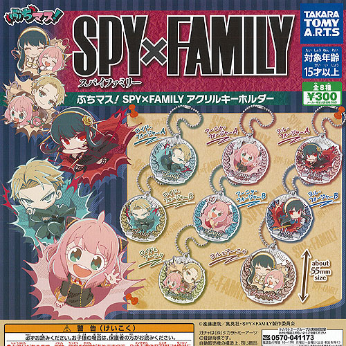 SPY×FAMILY アクリルキーチェーン　ラバーマスコット　他　25個セット SPY×FAMILY みあげてすたぁラバーキーホルダー BOXver.｜商品