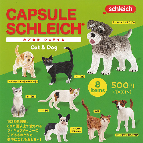 楽天市場】つぶら犬 ミニチュアサイズの可愛小犬 小型犬