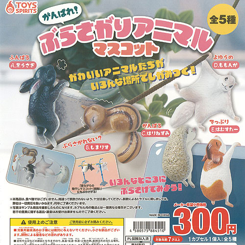 楽天市場】SKZOO つまんでつなげてますこっと でらっくす