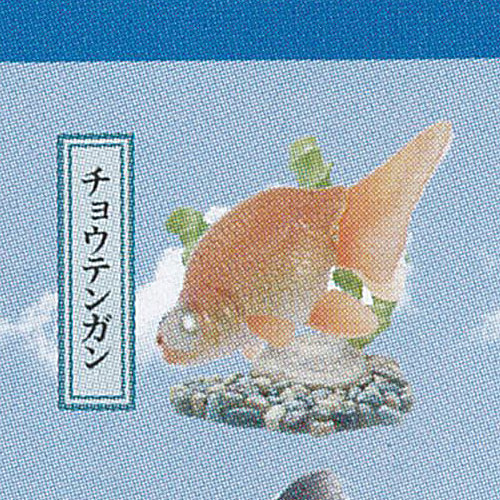 楽天市場】原色図鑑 シリーズ 6 原色淡水魚図鑑 2 14：ミナミ
