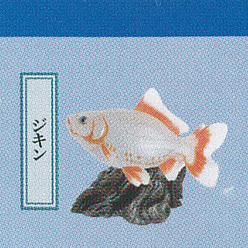 楽天市場】原色図鑑 シリーズ 6 原色淡水魚図鑑 2 14：ミナミトビハゼ