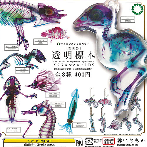 【アクリル画】商品名　「命の響」限定品　新品未使用品　10号 楽天市場】サイエンステクニカラー 新世界 透明標本 アクリル