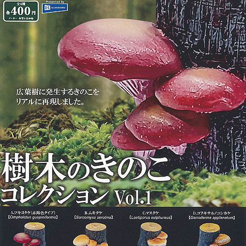 楽天市場】樹木のきのこ コレクション vol.1 全4種セット