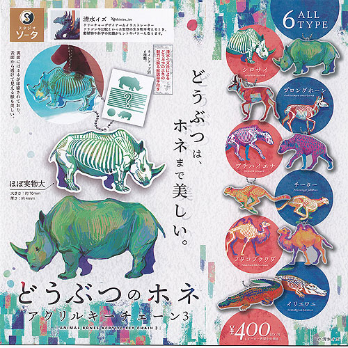 楽天市場】どうぶつのホネ アクリルキーチェーン3 SO-TA 【全6種