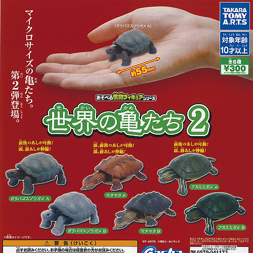 ♯Gpi22EJ地球生命紀行ウミガメ＆さんご礁を彩る生き物人気7種亀 ♯Gpi22EJ地球生命紀行ウミガメ＆さんご礁を彩る生き物人気7種亀