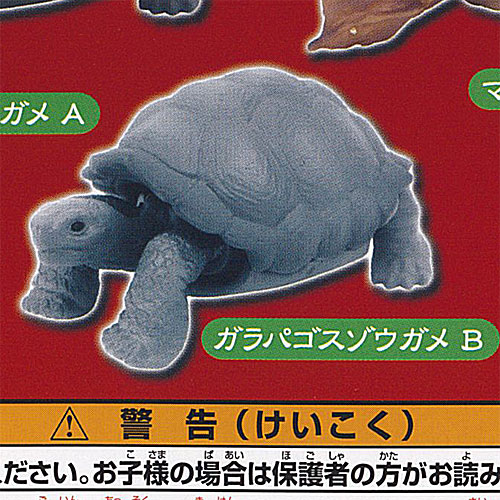 亀　フィギュア　ガチャ　バンダイ　ミルキーカラー　赤目 亀フィギュアガチャバンダイミルキーカラー赤目