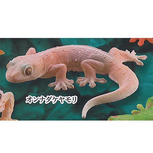 【新品・未開封】 ヤモリ大全Ⅱ クレステッドゲッコー フルコンプセット Amazon | カプセルQミュージアム ヤモリ大全2 クレステッド